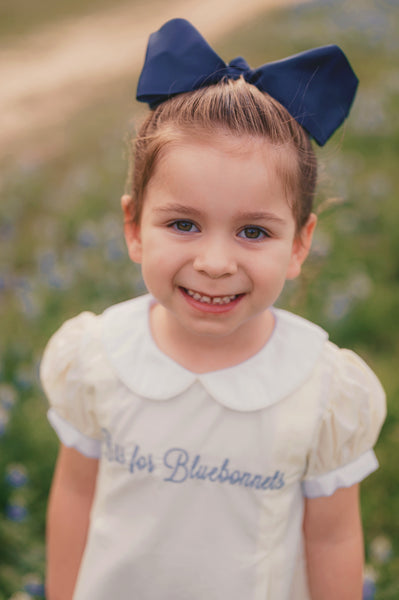 PRE-ORDER: Girls B is for Bluebonnets Dress (ETA January)
