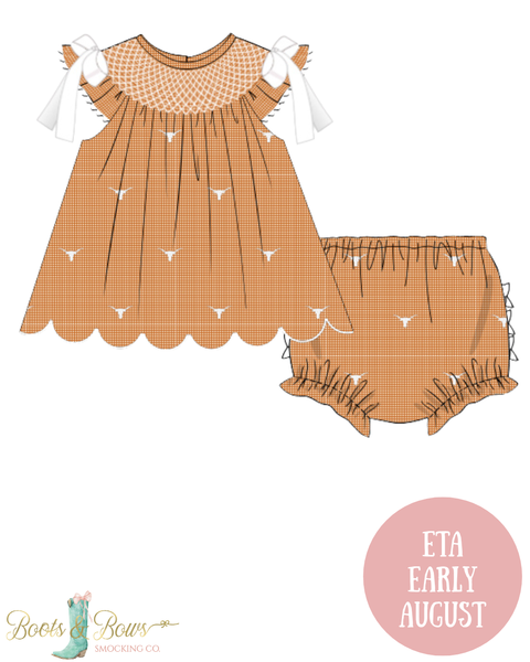 PRE-ORDER: Officially Licensed UT Austin Longhorn Pride Diaper Set (ETA Early August)